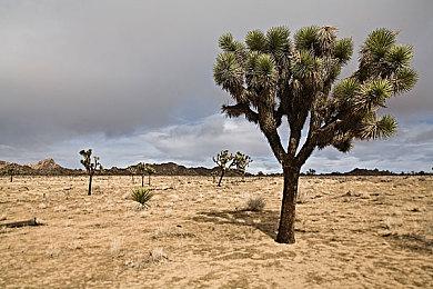 E3：手绘风2D平台冒险游戏《岛屿纪要》最新宣传片 现已多平台发售